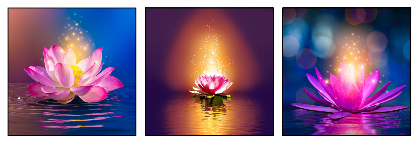 Lotus cvet ilustracije